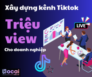 xây kênh tiktok triệu view